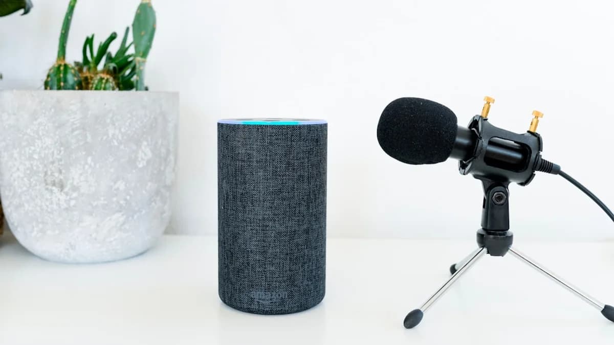 Amazon Echo near dynamic microphone