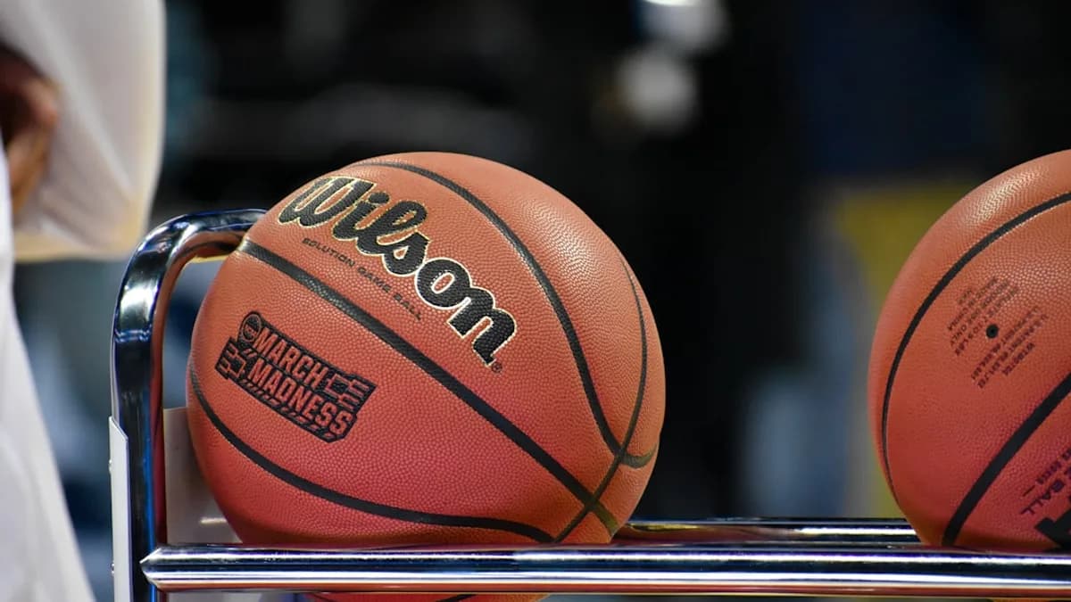 Wilson basketball on rack