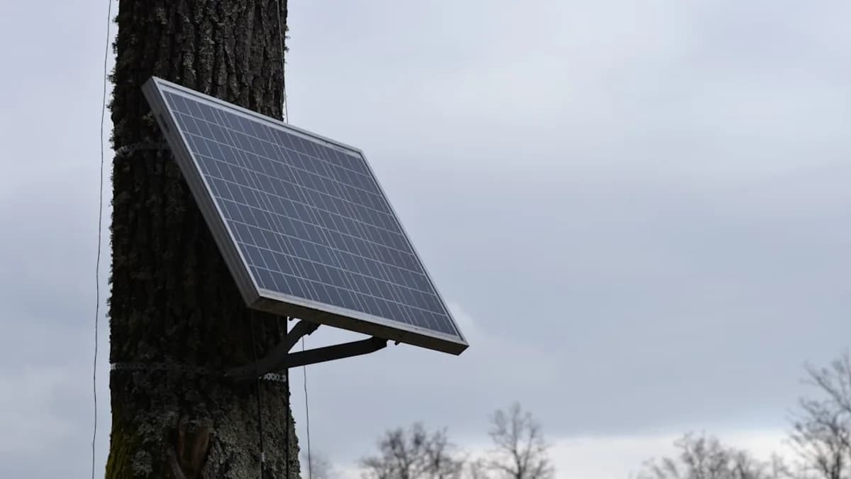 a solar panel attached to a tree
