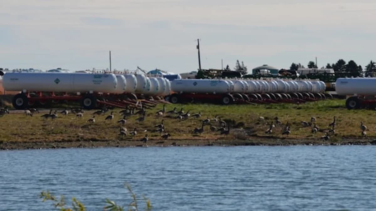 Row of covered train cars by a body of water