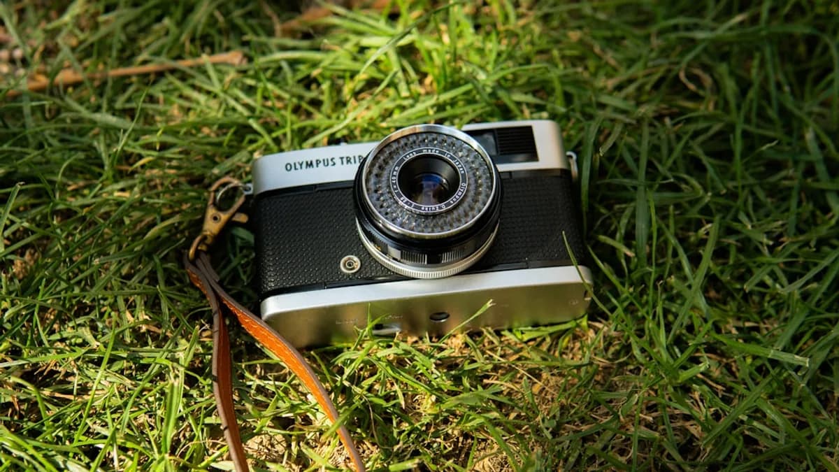 Vintage camera resting on green grass