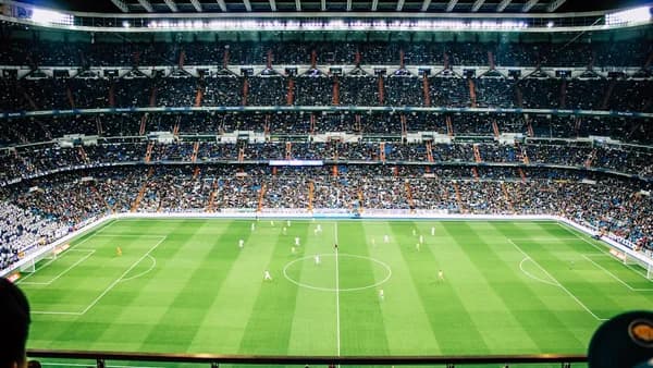 soccer field