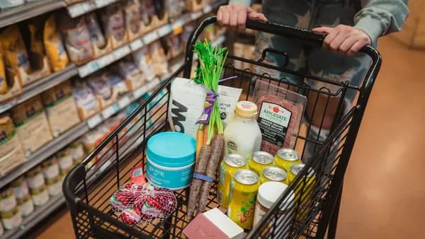 a person pushing a shopping cart full of food